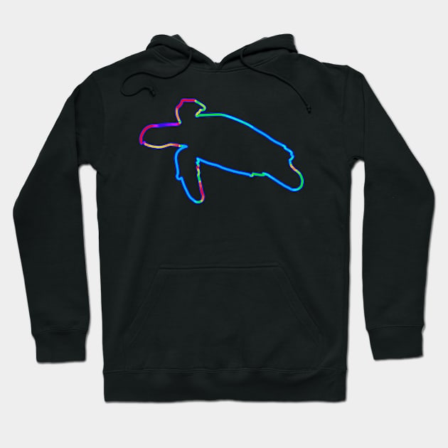 Neon sea turtle Hoodie by Gavlart